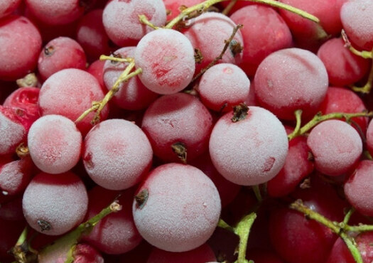 Шоковая заморозка: что это и как работает